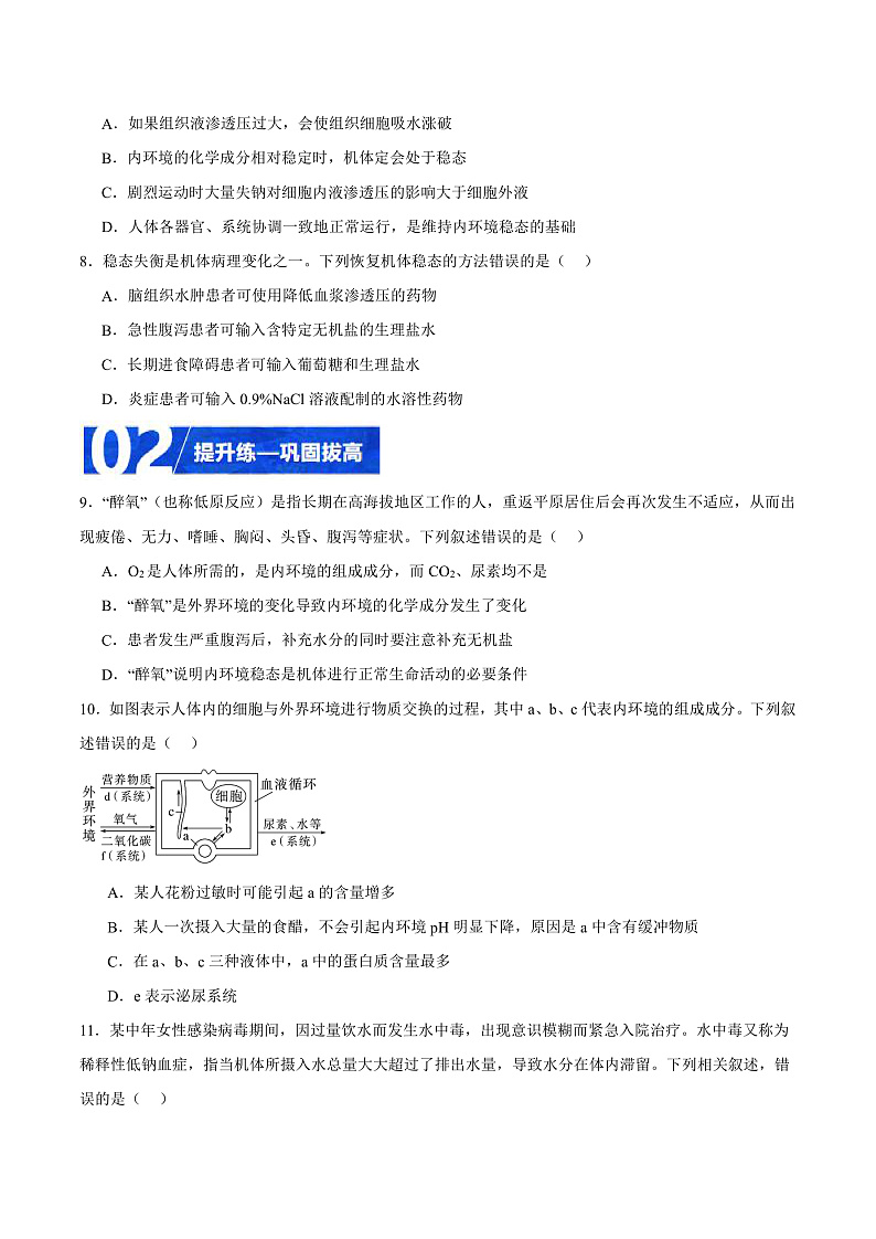人教版高二生物选择性必修一 1.2 《内环境的稳态》分层练习（原卷+解析卷）03