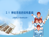 人教版高二生物選擇性必修一 2.1 《神經(jīng)系統(tǒng)的結(jié)構(gòu)基礎(chǔ)》課件