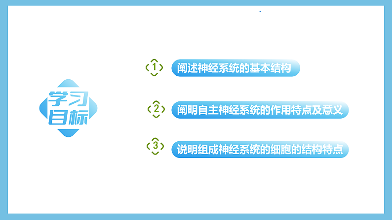 人教版高二生物选择性必修一 2.1 《神经系统的结构基础》课件02