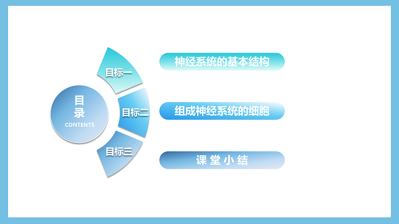 人教版高二生物选择性必修一 2.1 《神经系统的结构基础》课件05