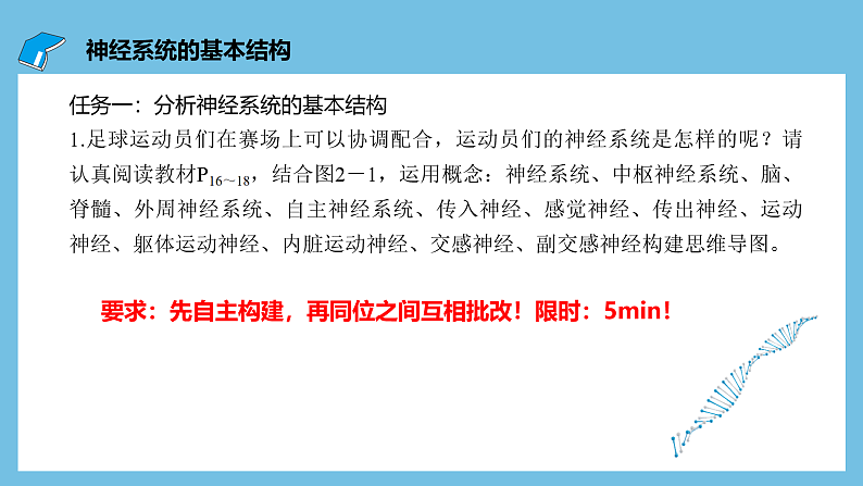人教版高二生物选择性必修一 2.1 《神经系统的结构基础》课件06