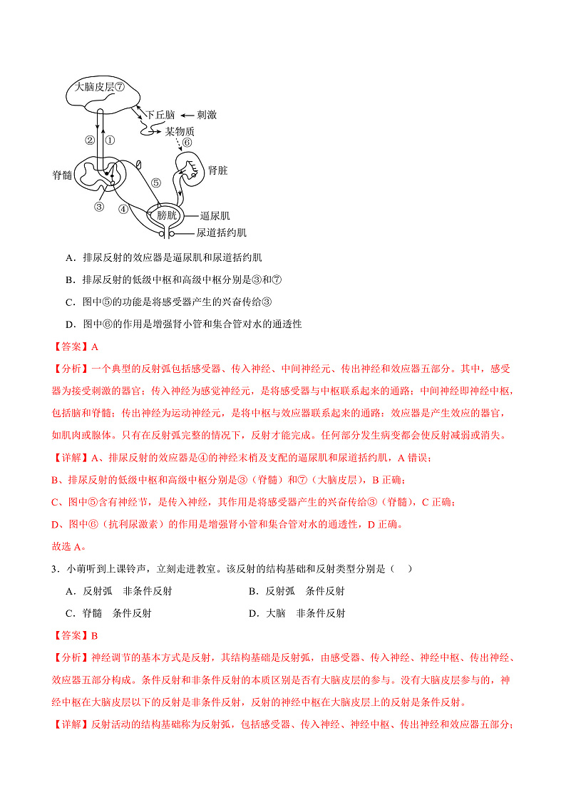 人教版高二生物选择性必修一 2.2 《神经调节的基本方式》分层练习（原卷+解析卷）02