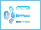 人教版高二生物选择性必修一 2.3.1 《兴奋在神经纤维上的传导》课件