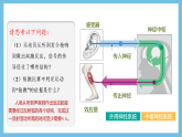 人教版高二生物选择性必修一 2.3.1 《兴奋在神经纤维上的传导》课件
