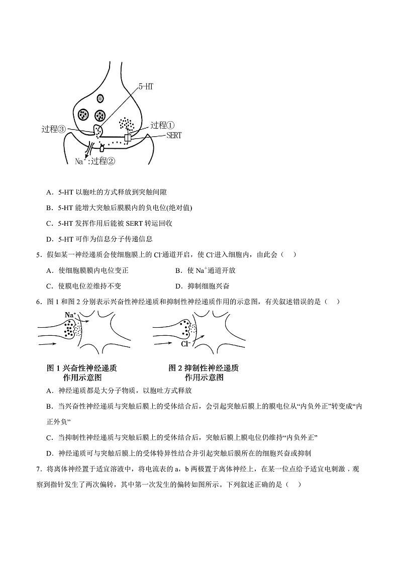 人教版高二生物选择性必修一 2.3.1 《兴奋在神经纤维上的传导》分层练习（原卷版）第2页