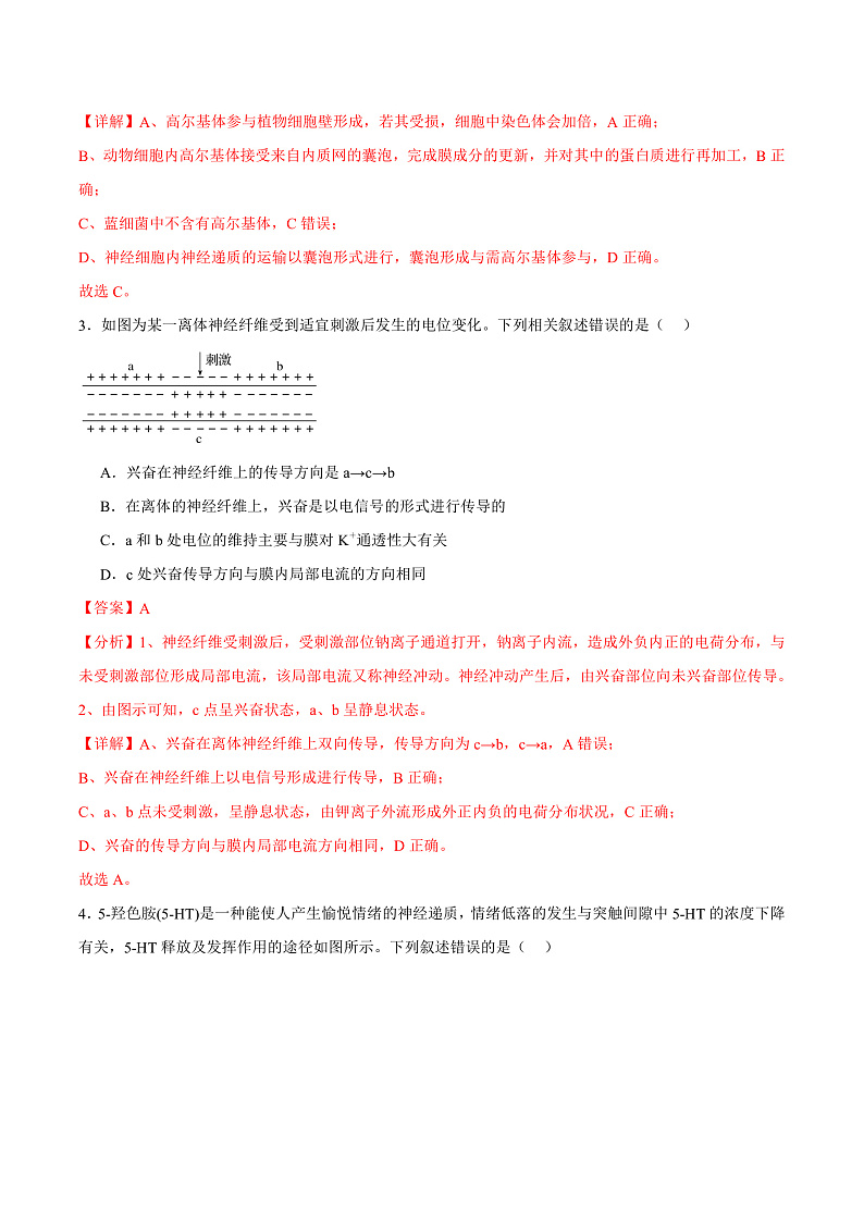 人教版高二生物选择性必修一 2.3.1 《兴奋在神经纤维上的传导》分层练习（解析版）第2页