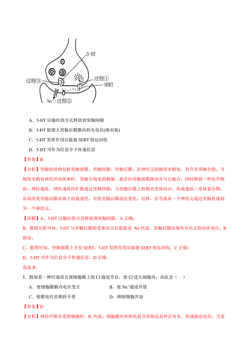 人教版高二生物选择性必修一 2.3.1 《兴奋在神经纤维上的传导》分层练习（解析版）第3页