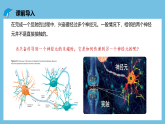 人教版高二生物选择性必修一 2.3.2 《兴奋在神经纤维上的传导》课件