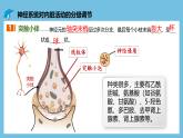 人教版高二生物选择性必修一 2.3.2 《兴奋在神经纤维上的传导》课件