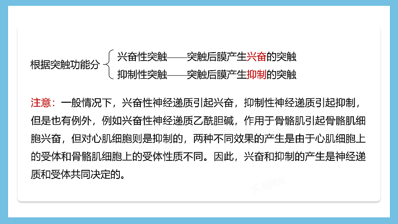 人教版高二生物选择性必修一 2.3.2 《兴奋在神经纤维上的传导》课件08