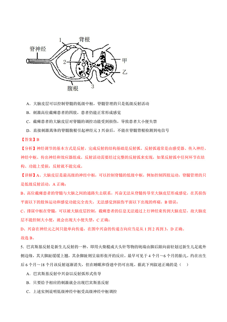 人教版高二生物选择性必修一 2.4 《神经系统的分级调节》分层练习（原卷+解析卷）03