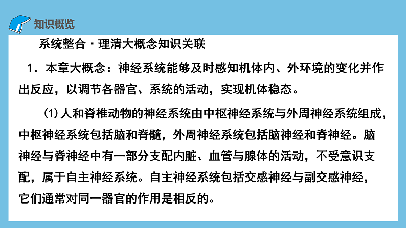 人教版高二生物选择性必修一 第2章 《神经调节》复习课件02