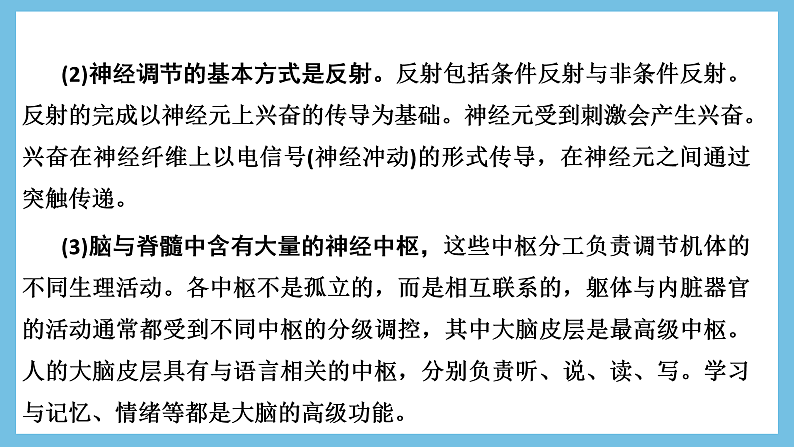 人教版高二生物选择性必修一 第2章 《神经调节》复习课件03
