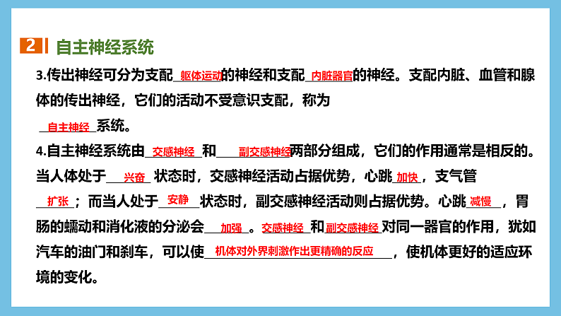 人教版高二生物选择性必修一 第2章 《神经调节》复习课件07