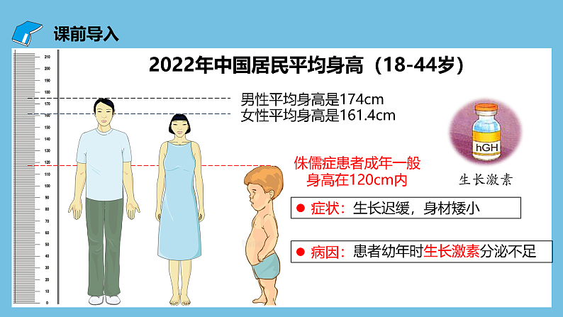 人教版高二生物选择性必修一 3.1.1《激素的发现及研究实例》课件03