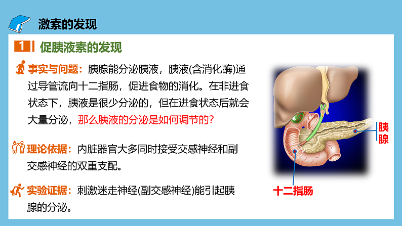 人教版高二生物选择性必修一 3.1.1《激素的发现及研究实例》课件05