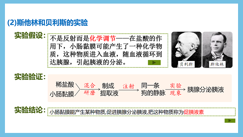 人教版高二生物选择性必修一 3.1.1《激素的发现及研究实例》课件07
