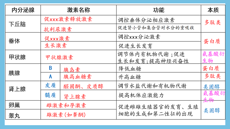 人教版高二生物选择性必修一 3.1.2 《内分泌系统的组成和功能》课件第7页