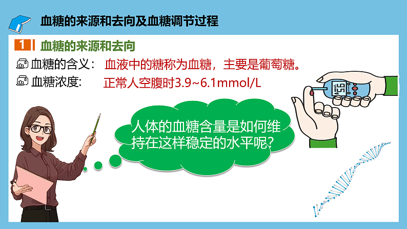 人教版高二生物选择性必修一 3.2.1 《血糖平衡的调节》课件05