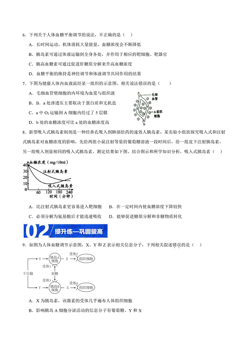 人教版高二生物选择性必修一 3.2.1 《血糖平衡的调节》分层练习（原卷+解析卷）02