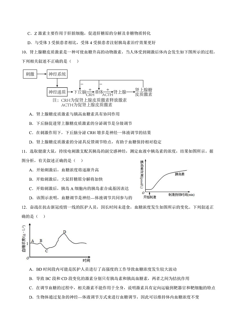 人教版高二生物选择性必修一 3.2.1 《血糖平衡的调节》分层练习（原卷+解析卷）03