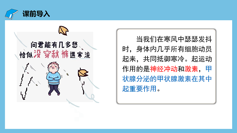 人教版高二生物选择性必修一 3.2.2 《甲状腺激素的分级调节和激素调节的特点》课件03