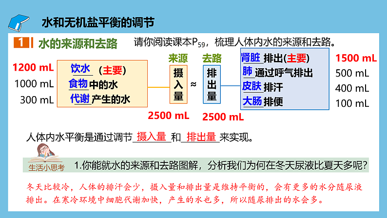 人教版高二生物选择性必修一 3.3.2 《水和无机盐平衡的调节》课件05