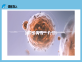 人教版高二生物选择性必修一 4.2.1 《体液免疫》课件