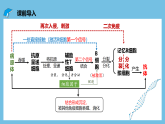 人教版高二生物选择性必修一 4.2.2《细胞免疫及体液免疫和细胞免疫的协调配合》课件