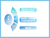 人教版高二生物选择性必修一 4.2.2《细胞免疫及体液免疫和细胞免疫的协调配合》课件
