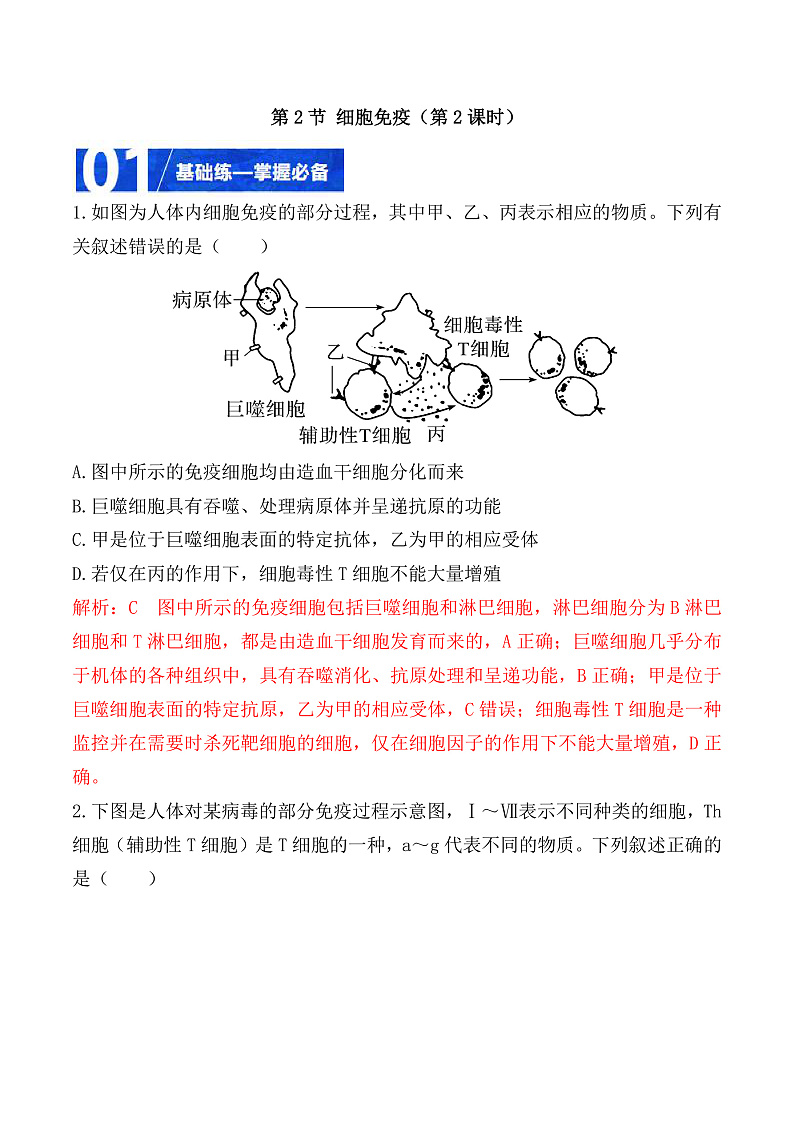 人教版高二生物选择性必修一 4.2.2《细胞免疫及体液免疫和细胞免疫的协调配合》分层练习（原卷+解析卷）01