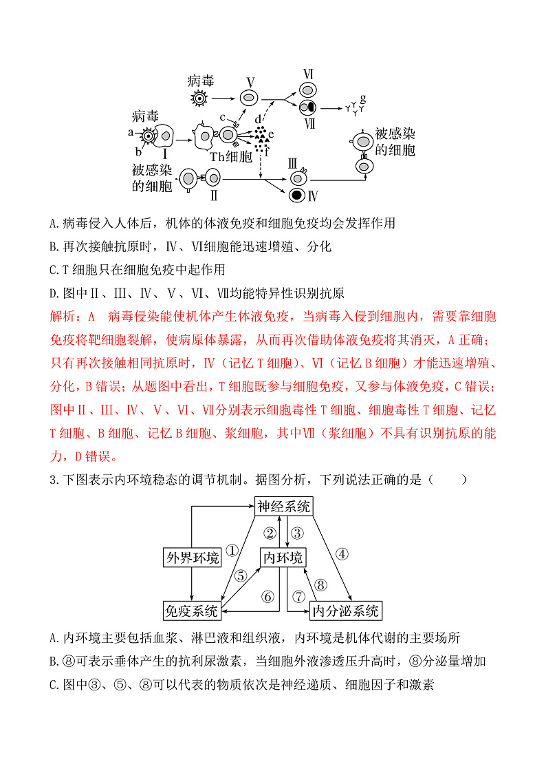 人教版高二生物选择性必修一 4.2.2《细胞免疫及体液免疫和细胞免疫的协调配合》分层练习（原卷+解析卷）02