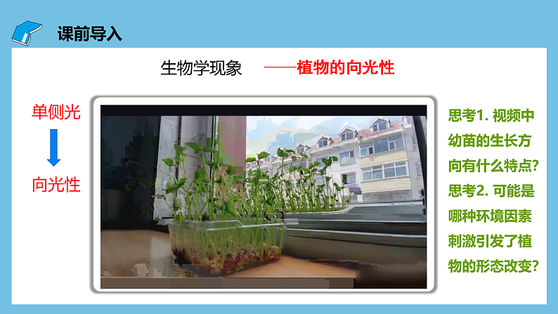 人教版高二生物选择性必修一 5.1.1 《生长素的发现过程》课件03