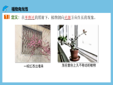 人教版高二生物选择性必修一 5.1.1 《生长素的发现过程》课件