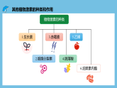 人教版高二生物选择性必修一 5.2 《其他植物激素》课件