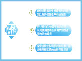 人教版高二生物选择性必修一 5.3 《植物生长调节剂的应用》课件