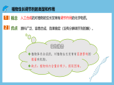 人教版高二生物选择性必修一 5.3 《植物生长调节剂的应用》课件