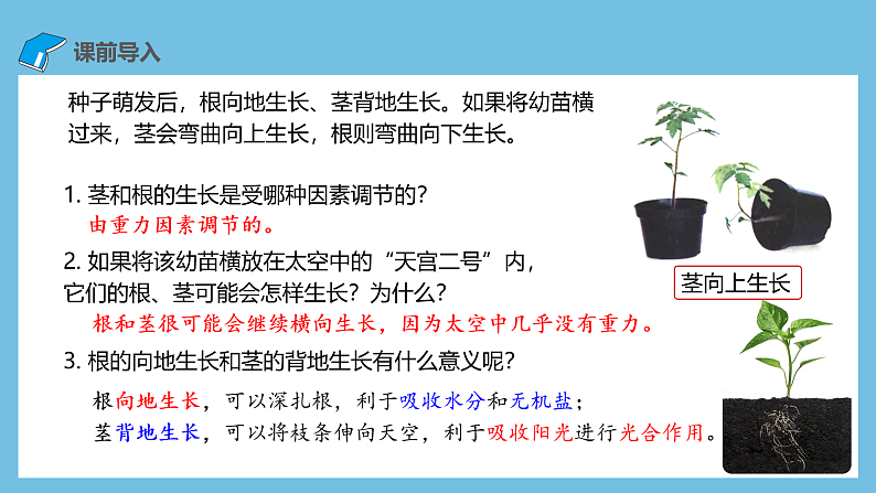 人教版高二生物选择性必修一 5.4 《环境因素参与调节植物的生命活动》课件03