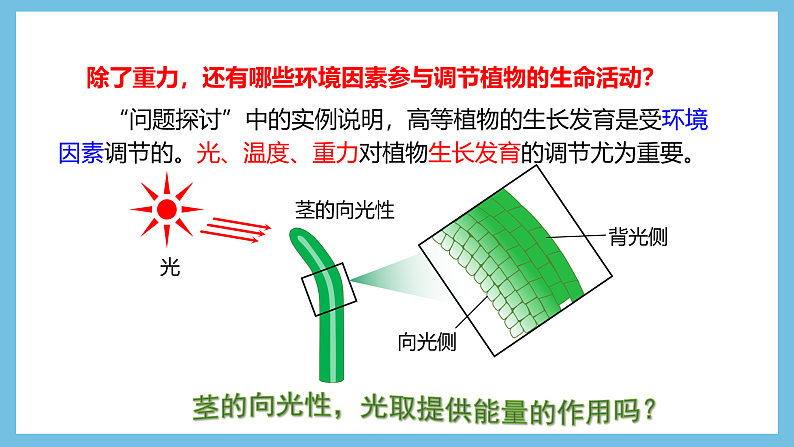 人教版高二生物选择性必修一 5.4 《环境因素参与调节植物的生命活动》课件04