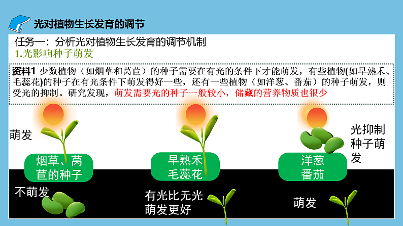 人教版高二生物选择性必修一 5.4 《环境因素参与调节植物的生命活动》课件06