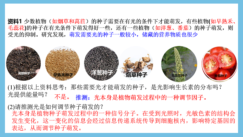 人教版高二生物选择性必修一 5.4 《环境因素参与调节植物的生命活动》课件07