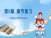 人教版高二生物选择性必修一 第5章 《植物生命活动的调节》复习课件