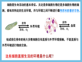人教版高二生物选择性必修一1.1《细胞生活的环境》课件