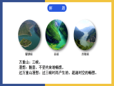 【中职课件】高教版中职语文拓展模块 3《过万重山漫想》课件