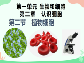 【核心素养】人教版初中生物七年级上册1.2.2《植物细胞》课件＋教案（含教学反思）