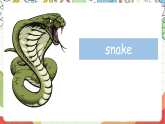人教版新起点英语六上 Unit 3 《Animal World》 Get ready  Lesson 1 课件