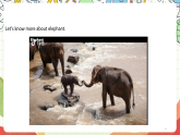 人教版新起點英語六上 Unit 3 《Animals World》 lesson 3 課件