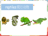 人教版新起点英语六上 Unit 3 《Animals World》 Let's check fun time 课件