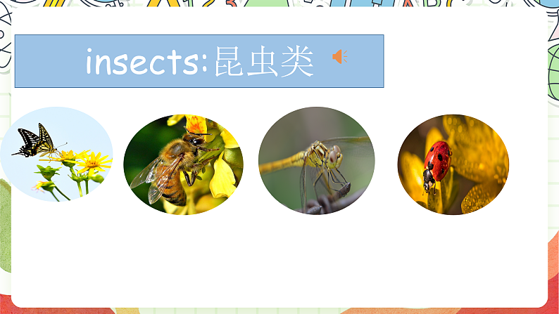 人教版新起点英语六上 Unit 3 《Animals World》 Let's check fun time 课件07