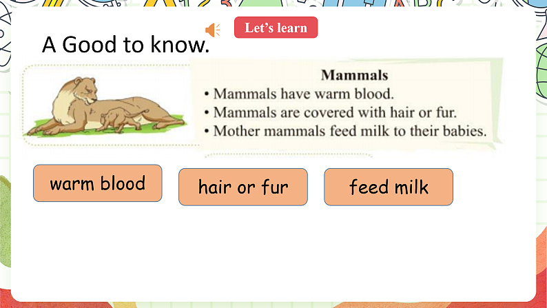 人教版新起点英语六上 Unit 3 《Animals World》 Let's check fun time 课件08